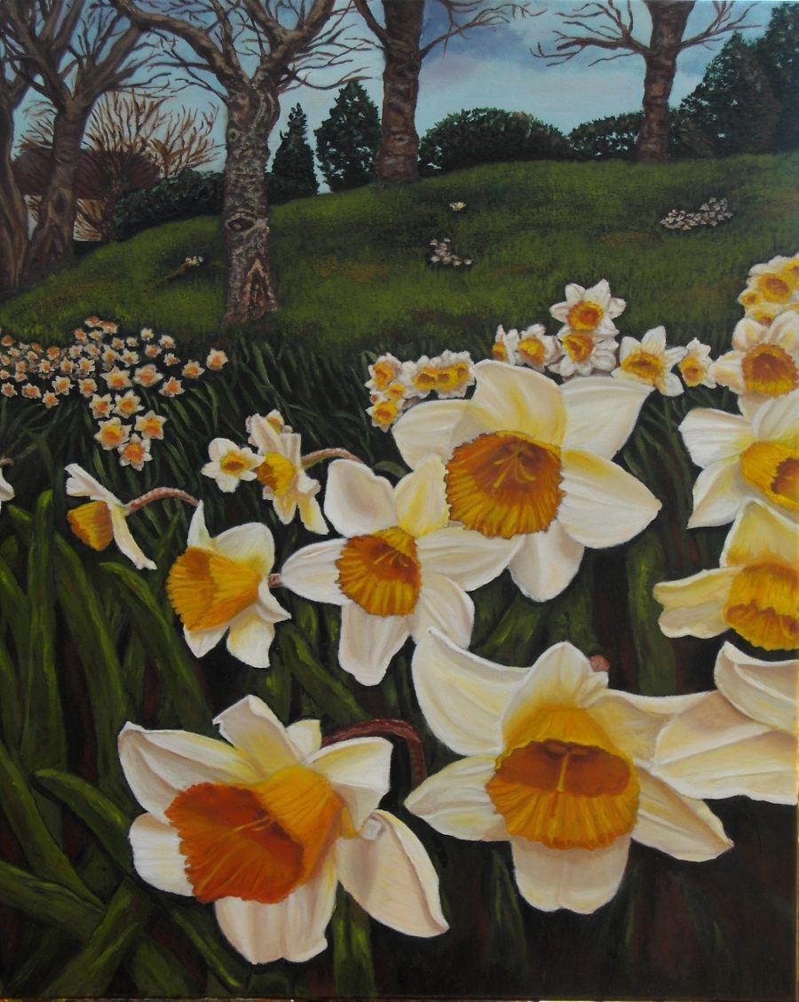 Narcisos